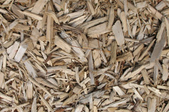 biomass boilers Tyn Y Coed