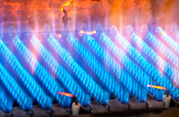 Tyn Y Coed gas fired boilers